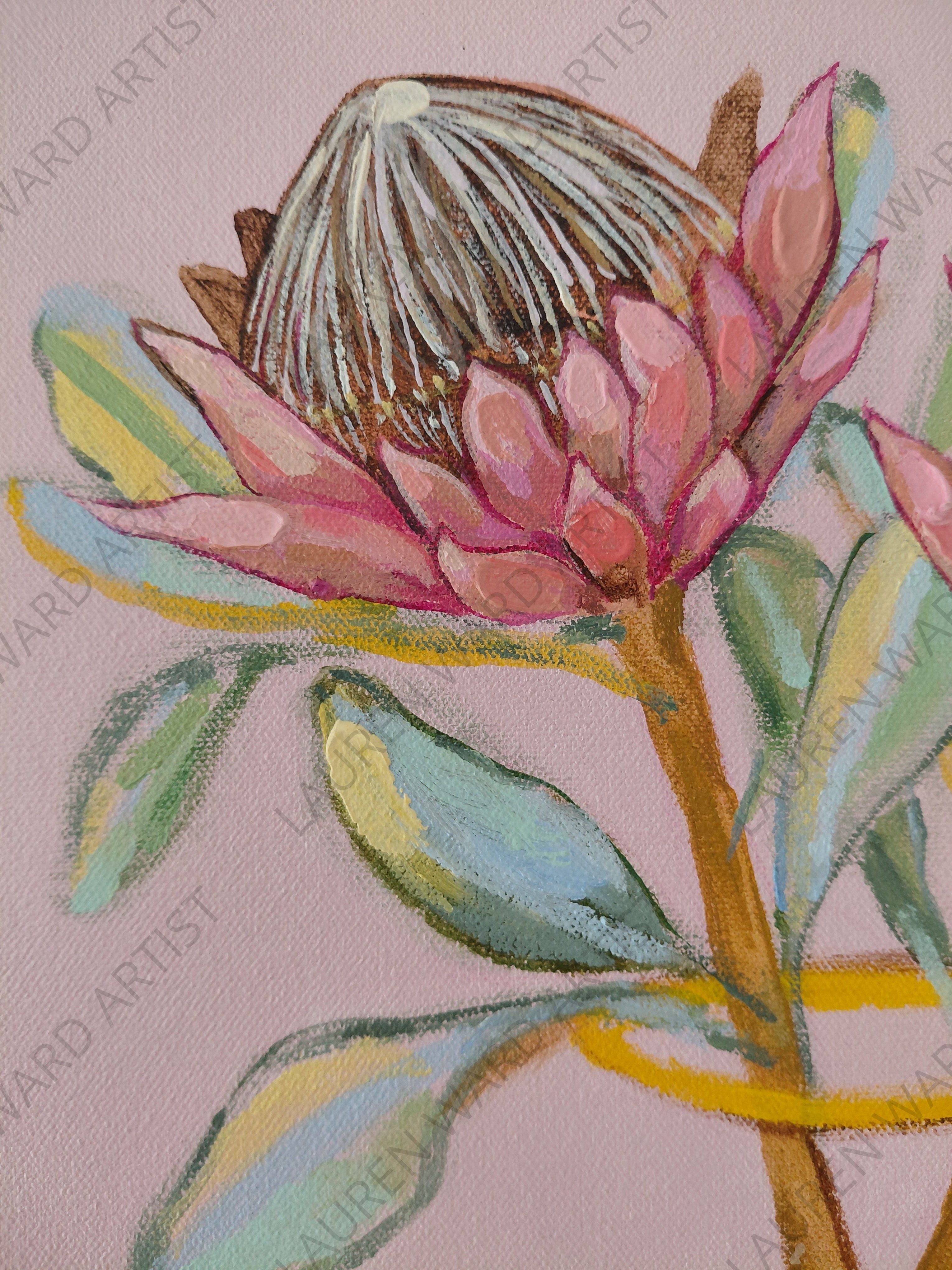 Pretty Proteas