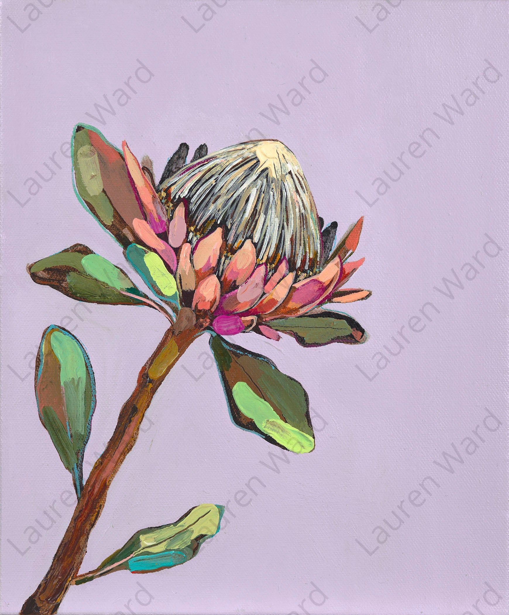 Purple Protea Matted Print